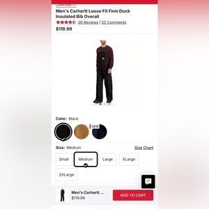 Carhartt Black Insulated Bib Overall